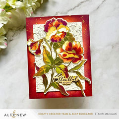 September 2025 Full Release Bundle