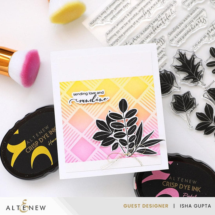 September 2025 Full Release Bundle