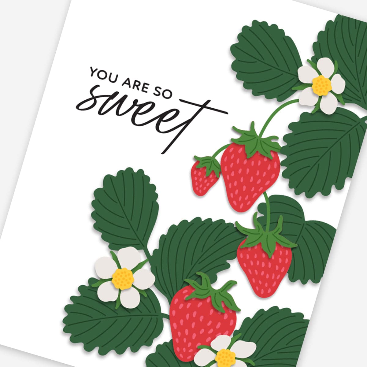 Ultimate Subscription Plan