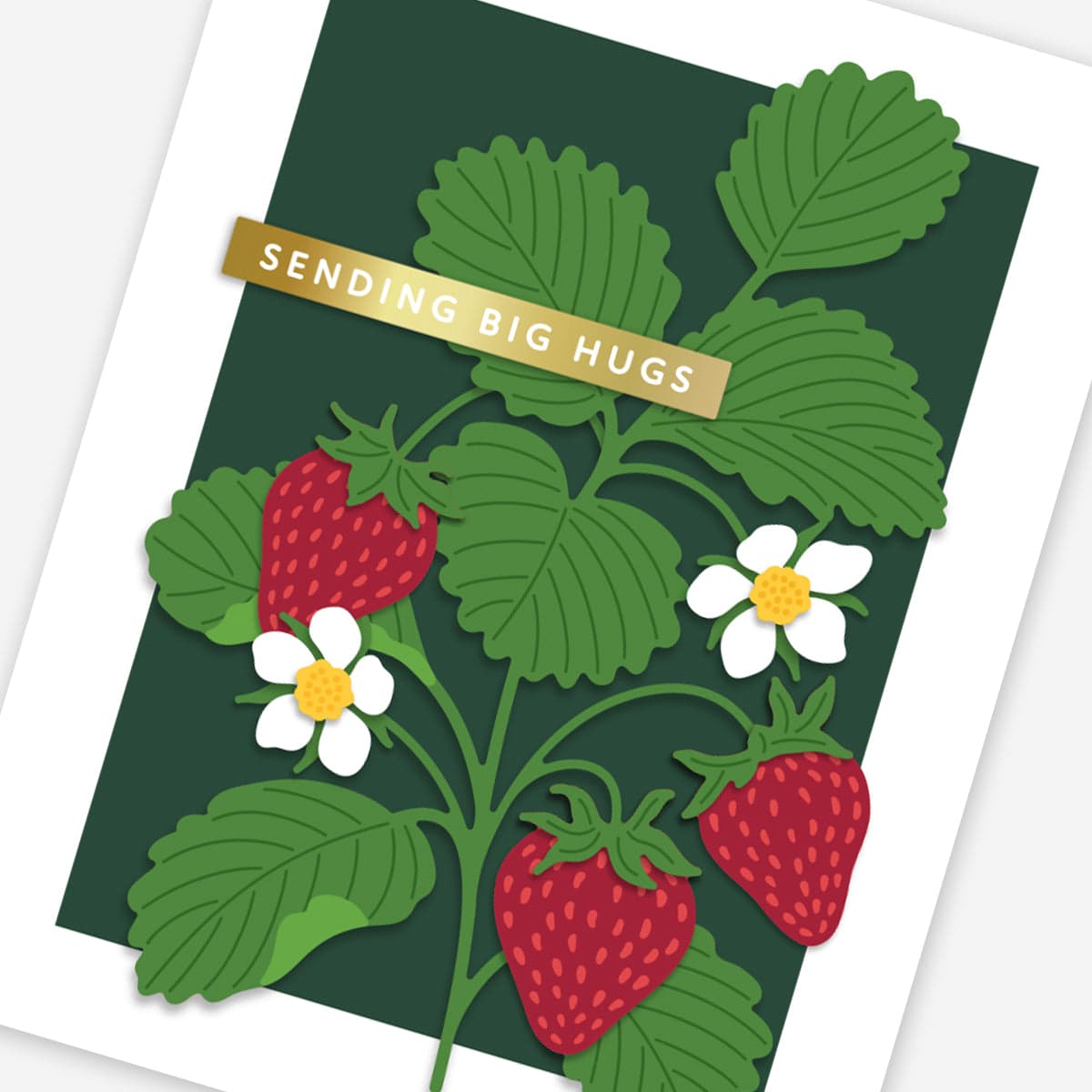 Ultimate Subscription Plan