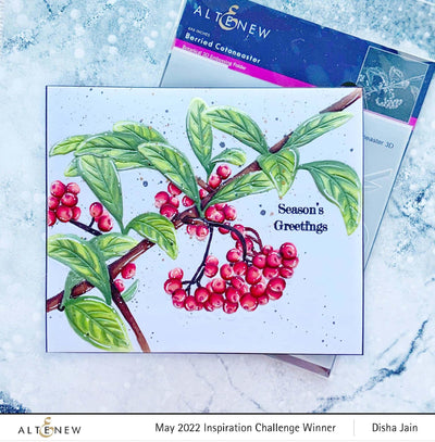Altenew Release Bundle Enchanted Winter Embossing Folder Release Bundle