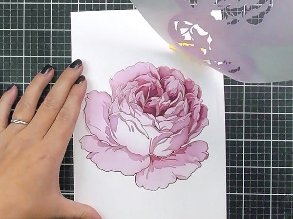 Use the coordinating supplies to add color, dimension, and more!