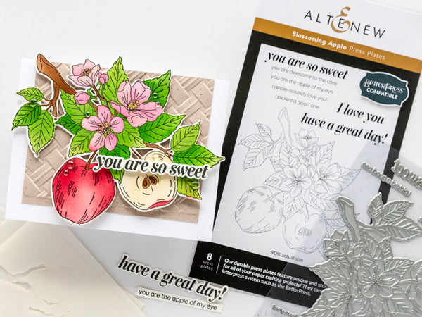 Use the coordinating supplies to add color, dimension, and more!