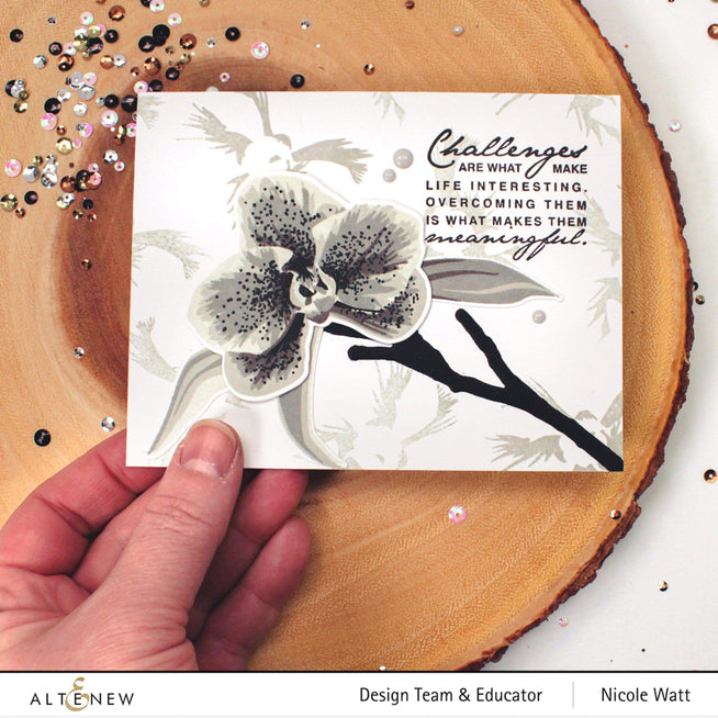 Altenew | Card Making, Scrapbooking & Paper-Crafting Supplies! Stamp & Die Bundle Block Sentiments Stamp & Die Bundle