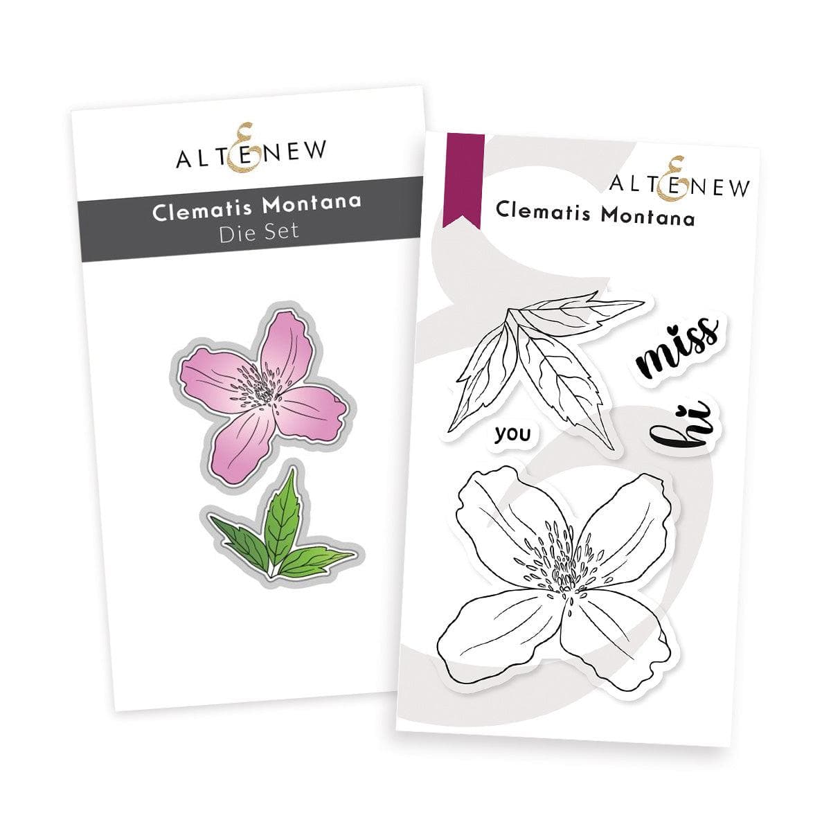 Clematis Montana | Altenew