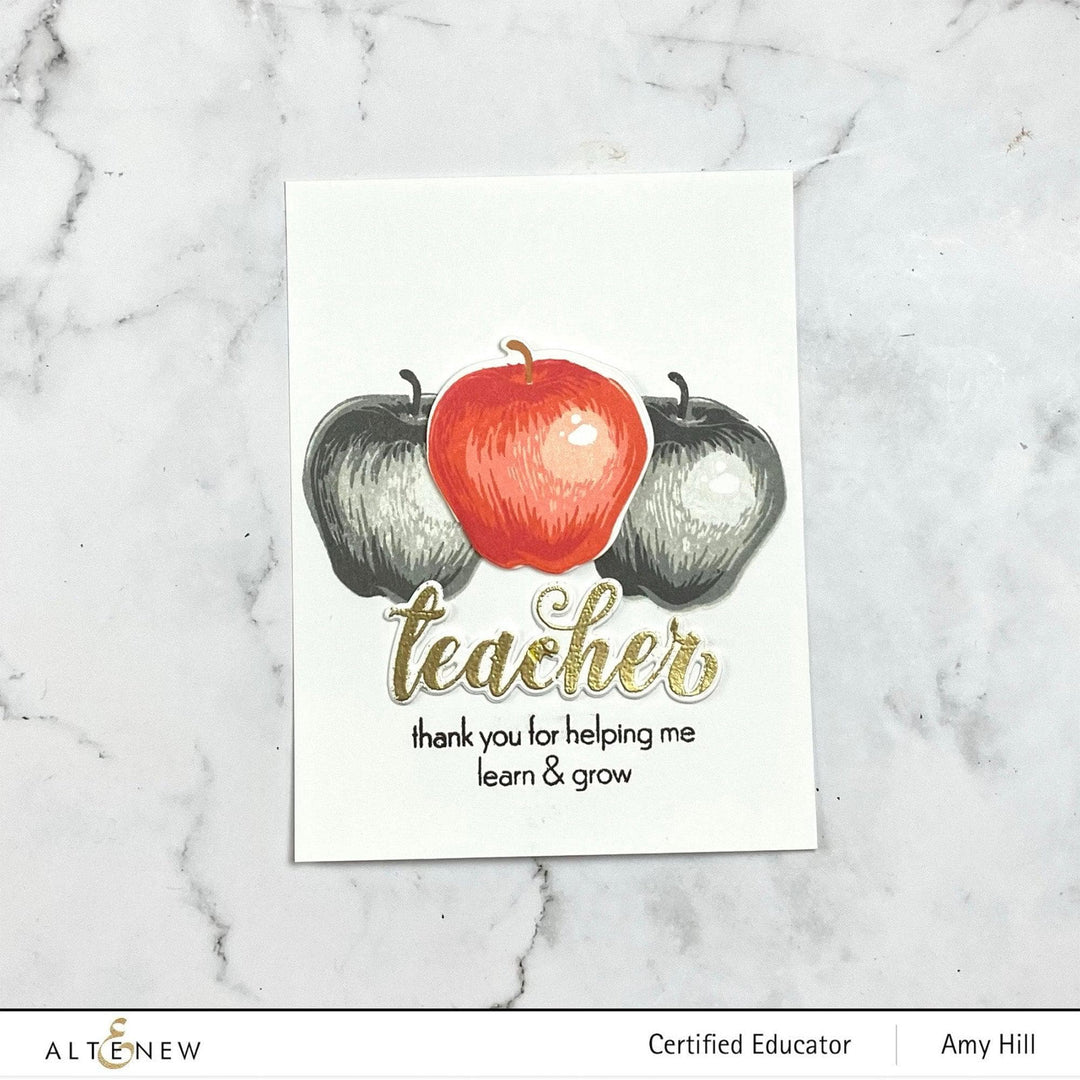 Altenew Stamp & Die Bundle Educators Rule Stamp & Die Bundle