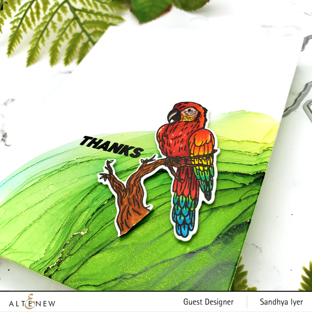 Altenew Stamp & Die Bundle Exotic Parrot Stamp & Die Bundle