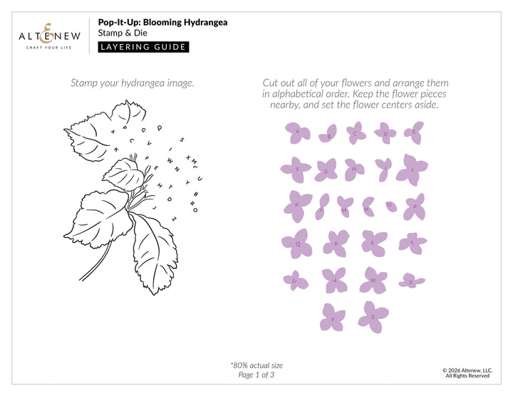 Pop-It-Up: Blooming Hydrangea Stamp & Die Set