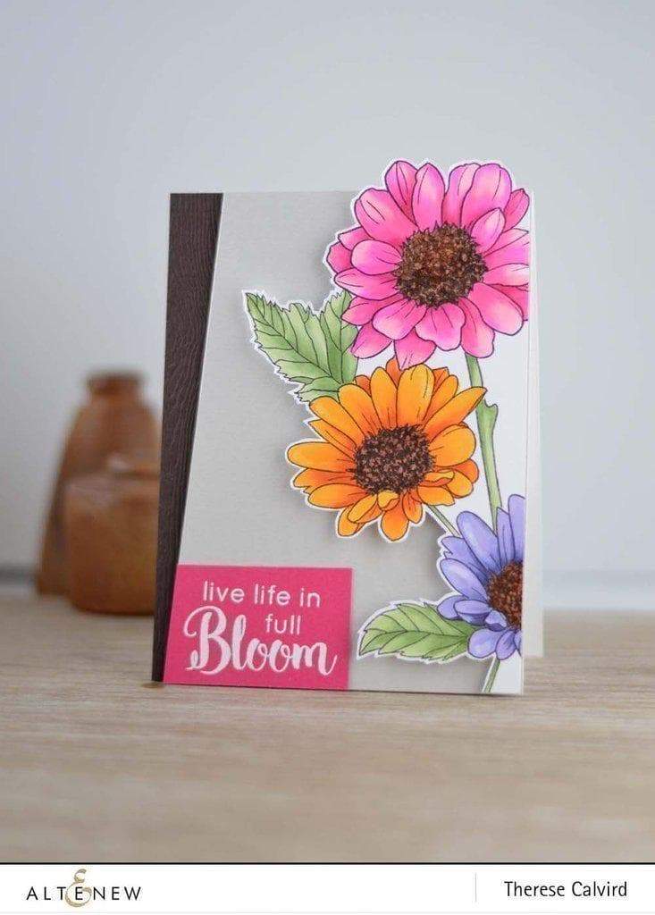 Spring Daisies Scrapbook Stamps & Word Art - Design Cuts