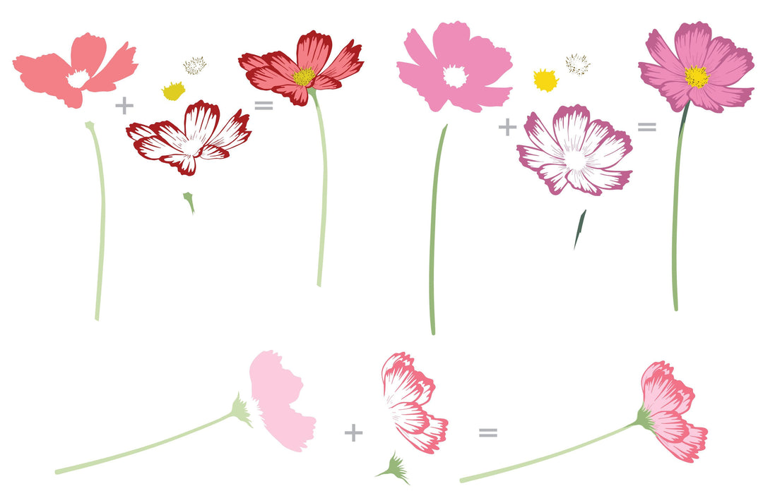 Altenew Stamp & Die Bundle Stunning Cosmos Stamp & Die Bundle