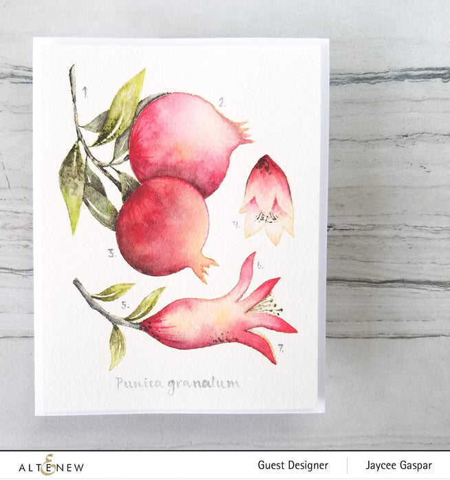 Altenew Happy Pomegranates stamp and die bundle with detailed pomegranate illustrations and coordinating cutting dies.