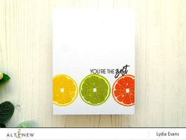 Altenew Stamp & Die Bundle Main Squeeze Stamp & Die Bundle