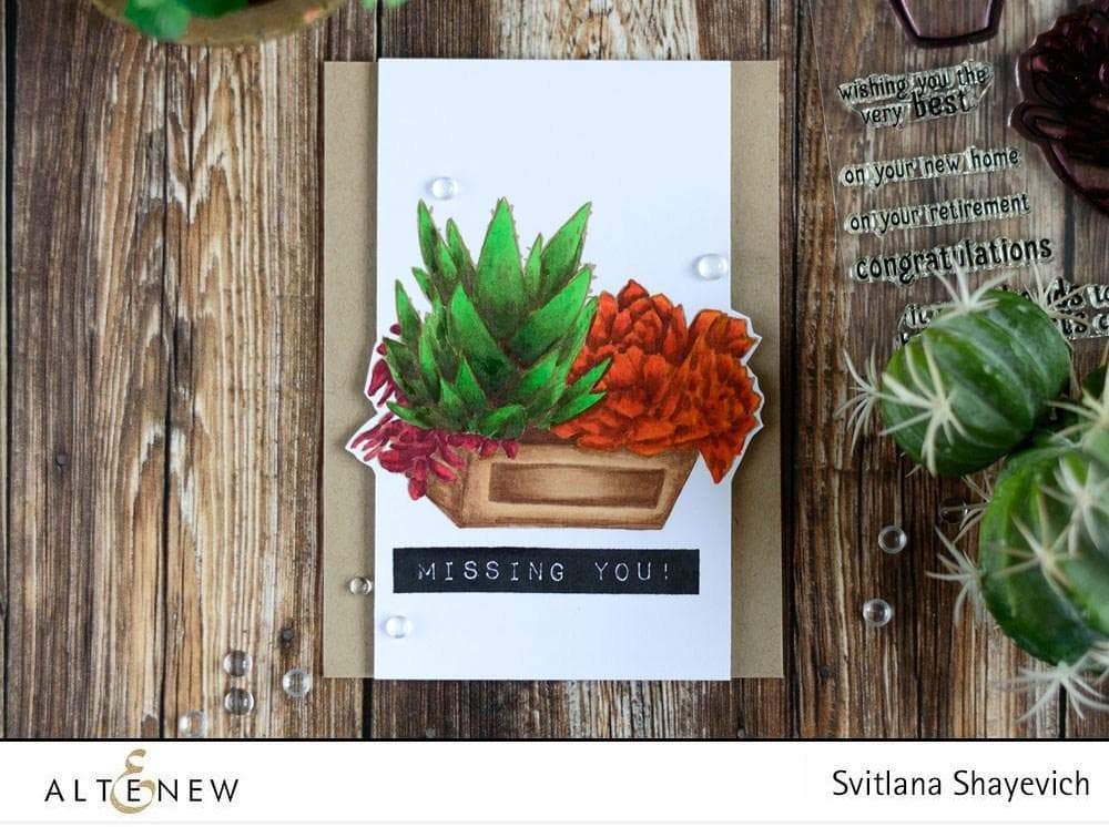 Altenew Stamp & Die Bundle Succulents Stamp & Die Bundle