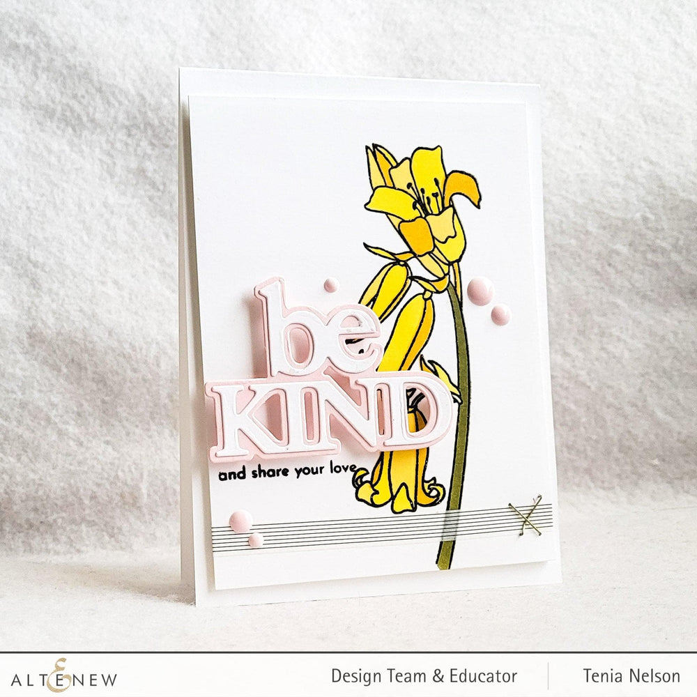 Altenew Stamp & Die & Stencil Bundle Always Be Kind Stamp & Die & Stencil Bundle