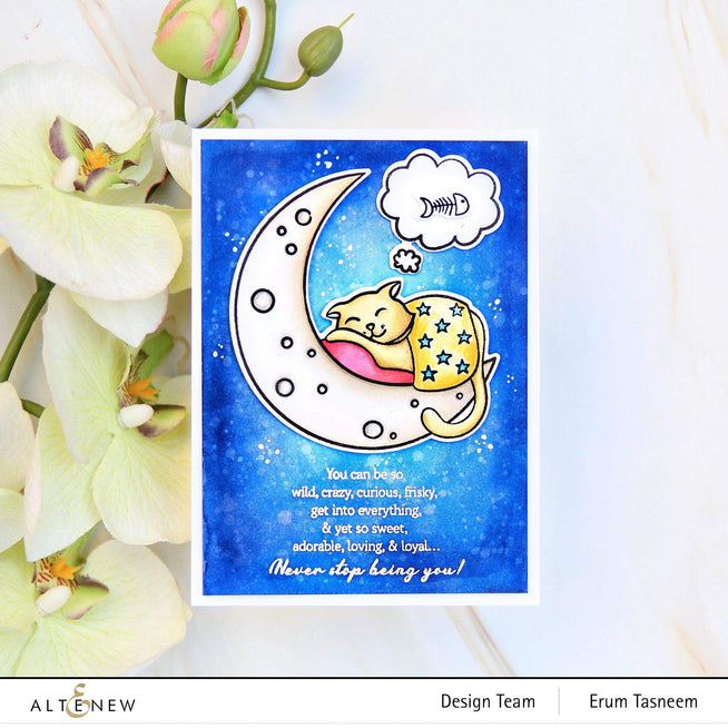 Altenew Stamp & Die & Stencil Bundle Dreamy Cat Stamp & Die & Stencil Bundle