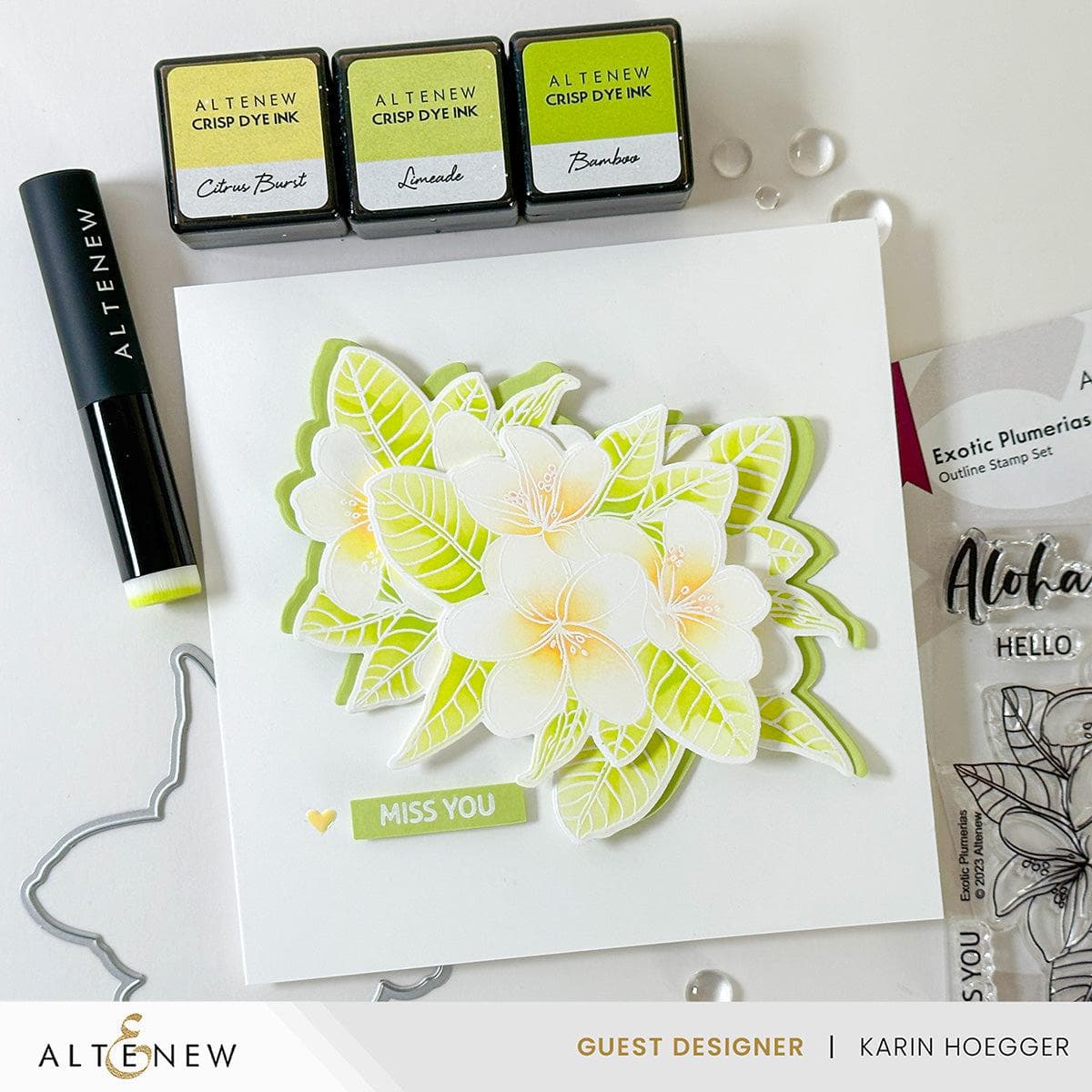 Exotic Plumerias Stamp & Die & Stencil Bundle | Altenew