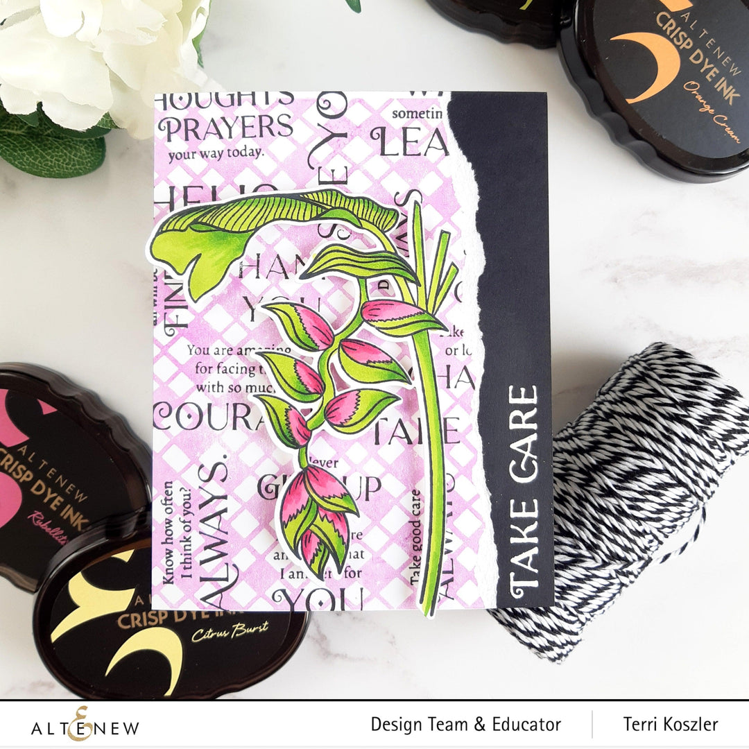 Altenew Monstera plant stamps, dies, and stencil bundle with inspirational quote designs for crafting and scrapbooking projects.