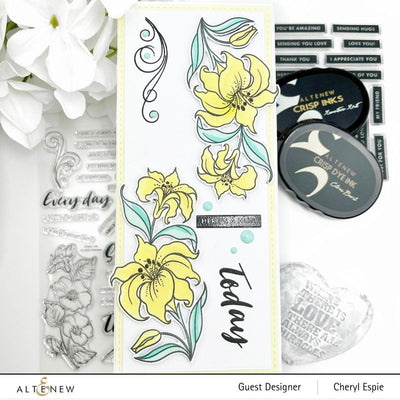Altenew Stamp & Die & Stencil Bundle Today is the Day Coordinating Stamp & Die & Stencil Release Bundle