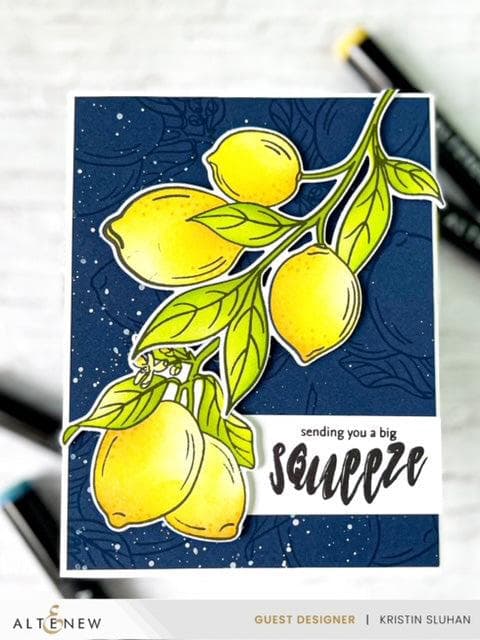 Altenew Stamp & Die & Stencil Bundle Zesty Life