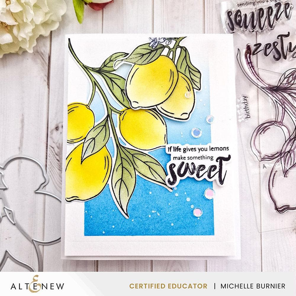 Altenew Stamp & Die & Stencil Bundle Zesty Life