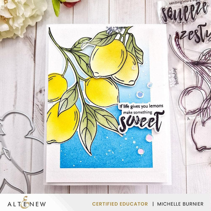 Altenew Stamp & Die & Stencil Bundle Zesty Life
