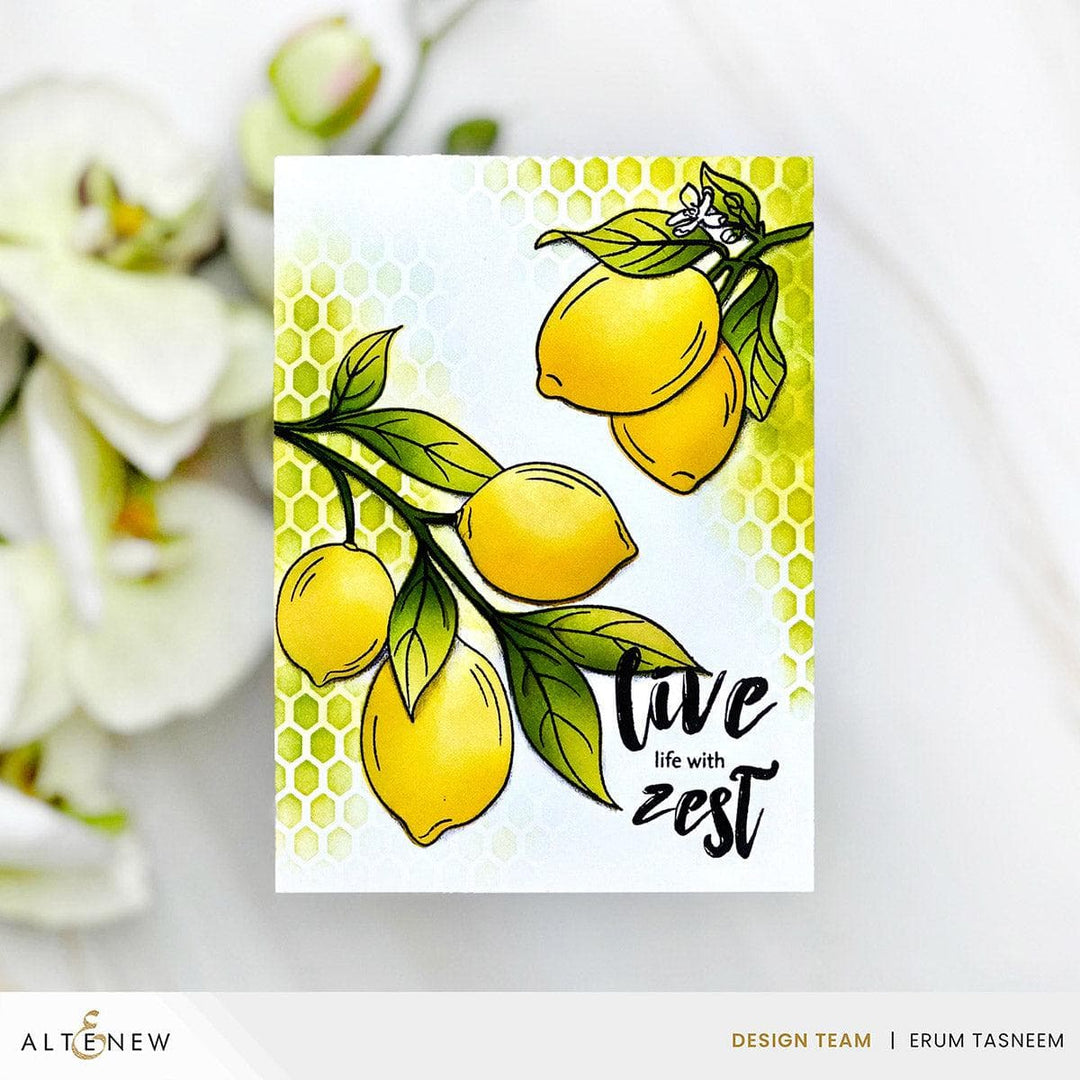Altenew Stamp & Die & Stencil Bundle Zesty Life