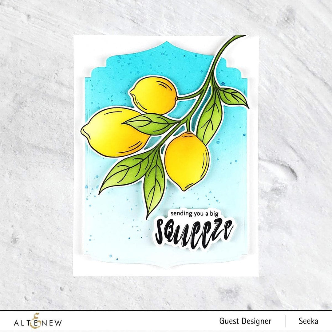 Altenew Stamp & Die & Stencil Bundle Zesty Life