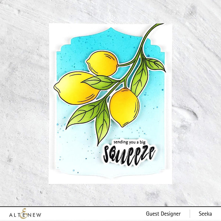 Altenew Stamp & Die & Stencil Bundle Zesty Life