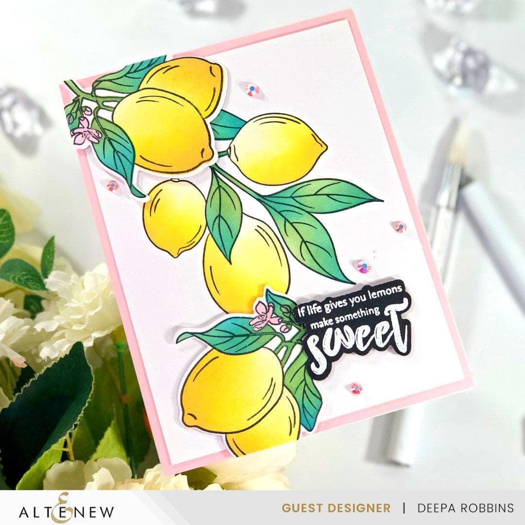 Altenew Stamp & Die & Stencil Bundle Zesty Life
