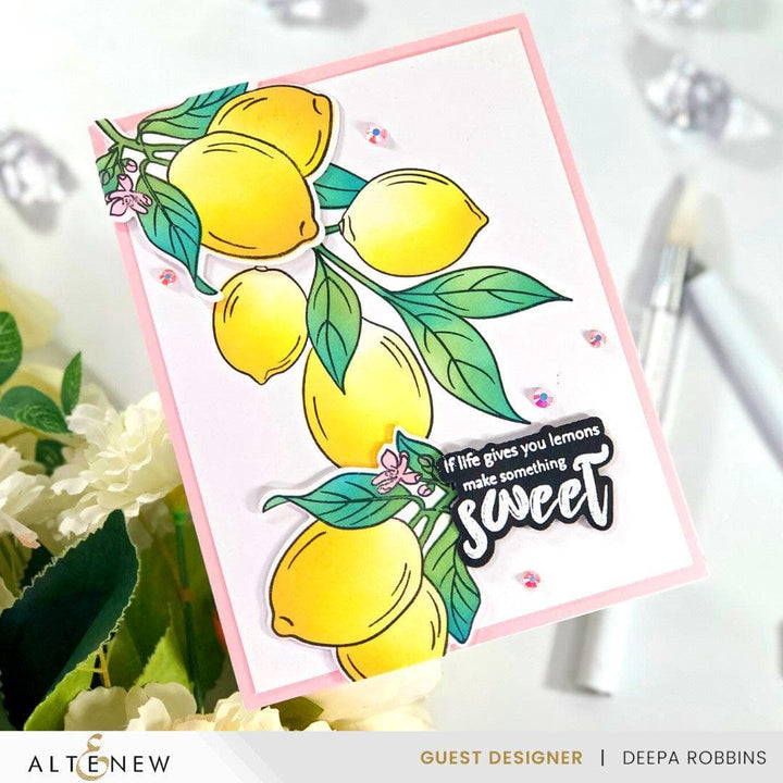 Altenew Stamp & Die & Stencil Bundle Zesty Life