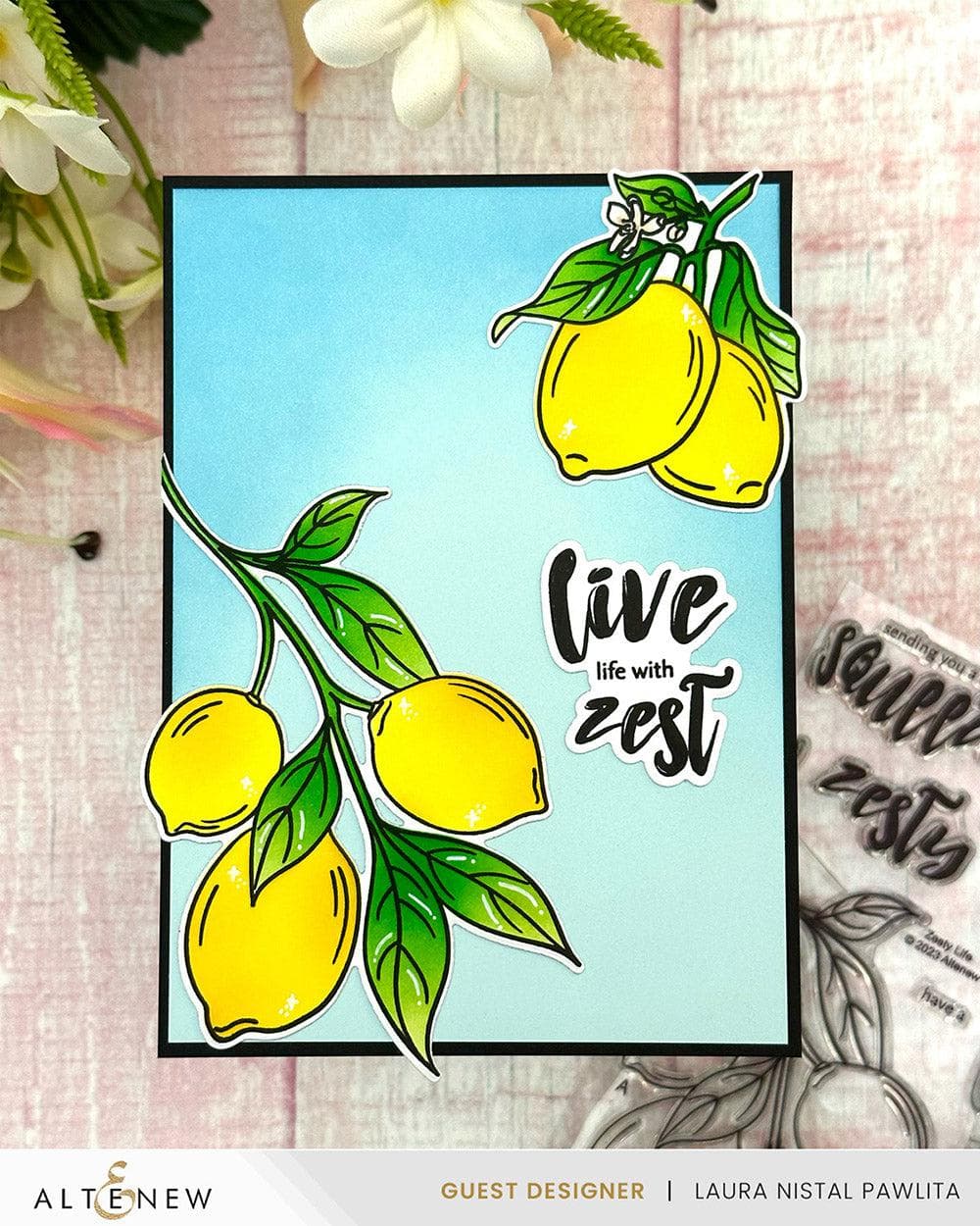 Altenew Stamp & Die & Stencil Bundle Zesty Life