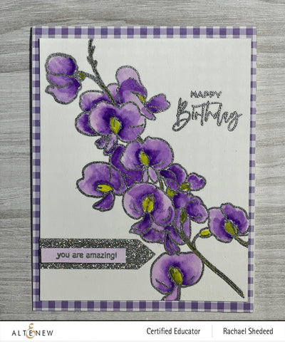 Altenew Stamp & Watercolor Bundle Paint-A-Flower: Sweet Pea & Watercolor Essential 12 Pan Set Bundle