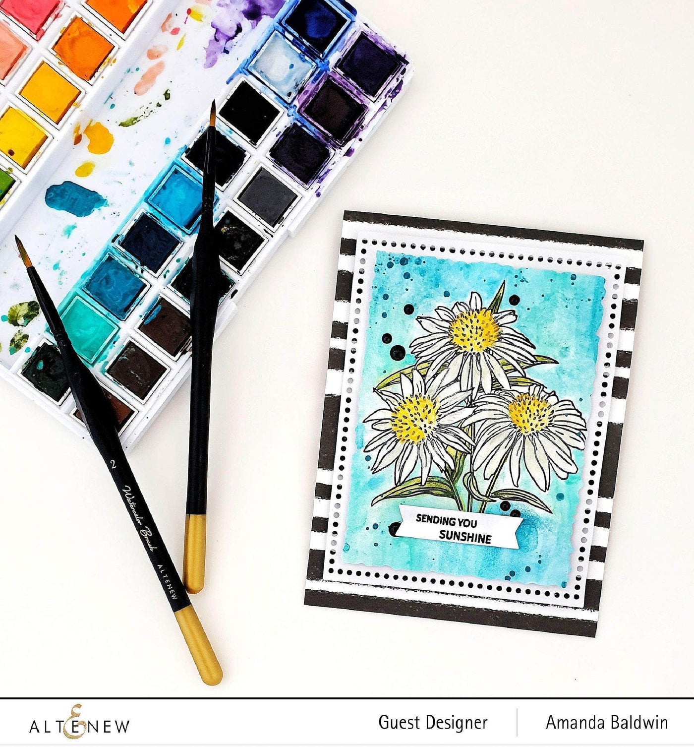 Altenew Stamp & Watercolor Bundle Paint-A-Flower: White Swan Echinacea & Artists' Watercolor 24 Pan Set Bundle