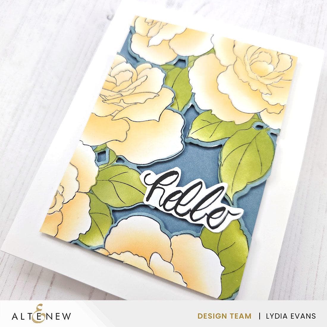 Flex Calligraphy Pen Set