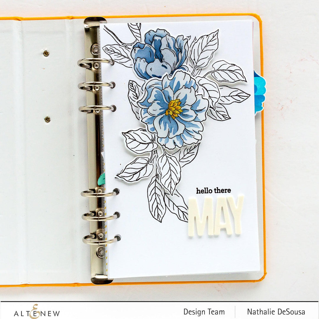 EXP Factors Stencil Botanical Illustrations Layering Stencil Set (4 in 1)