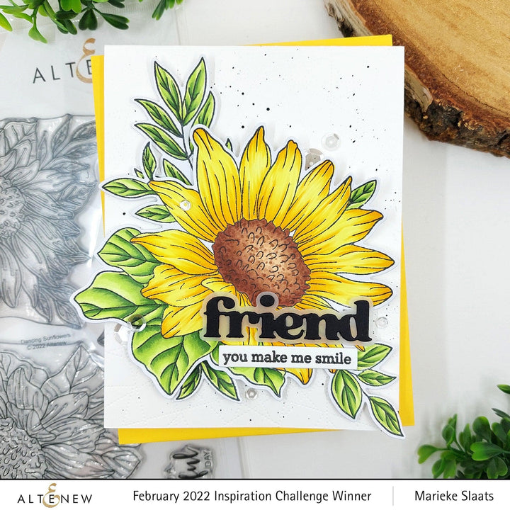 EXP Factors Stencil Botanical Illustrations Layering Stencil Set (4 in 1)