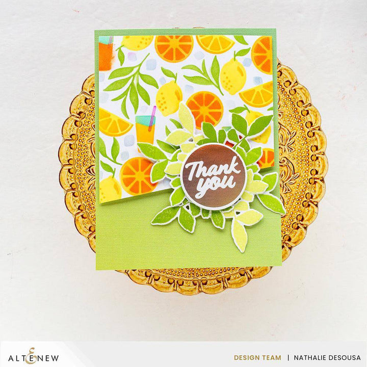 EXP Factors Stencil Citrus Fruits Pattern Layering Stencil Set (4 in 1)
