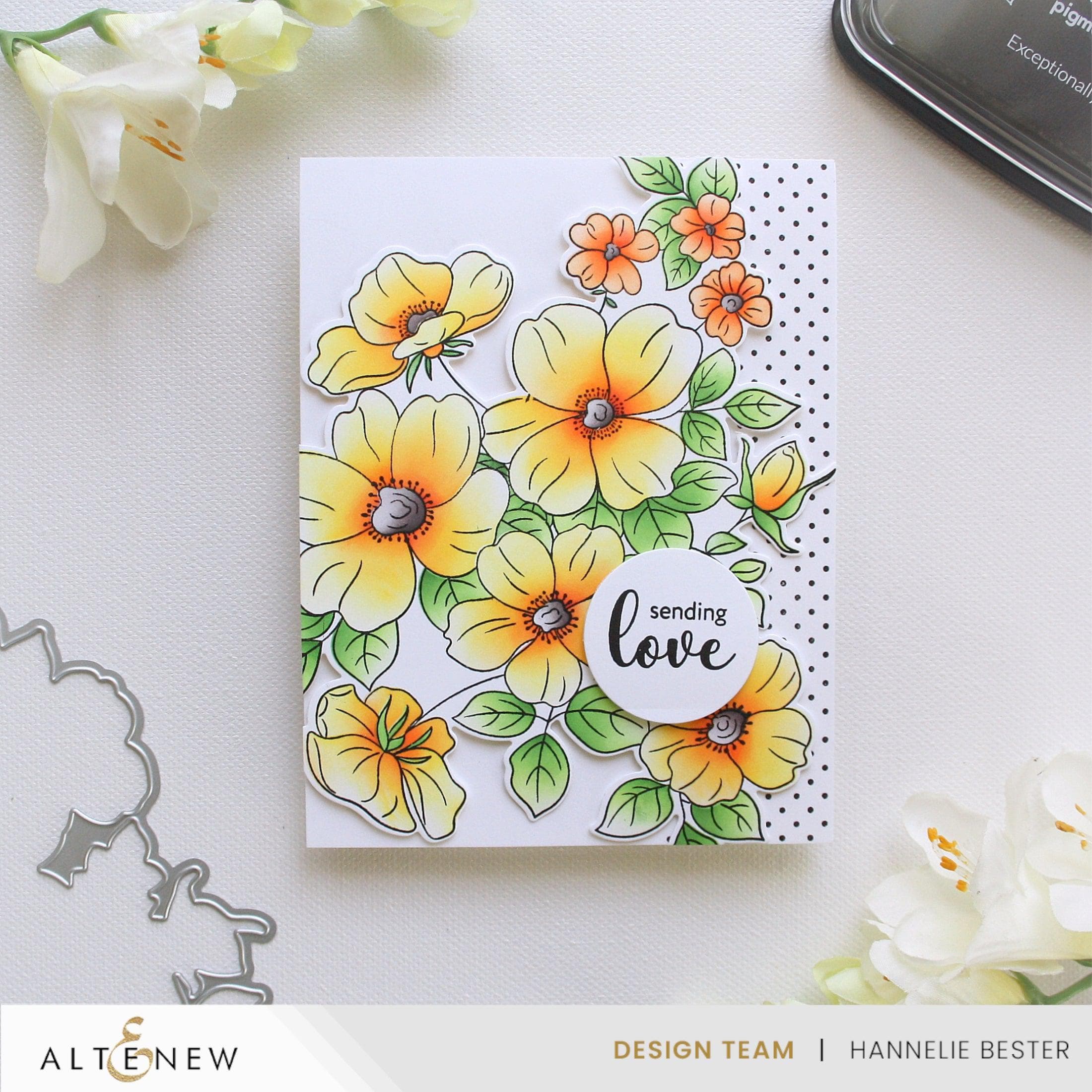 Flutter & Bloom: Stamp, Die, Stencil & Embossing Folder Bundle