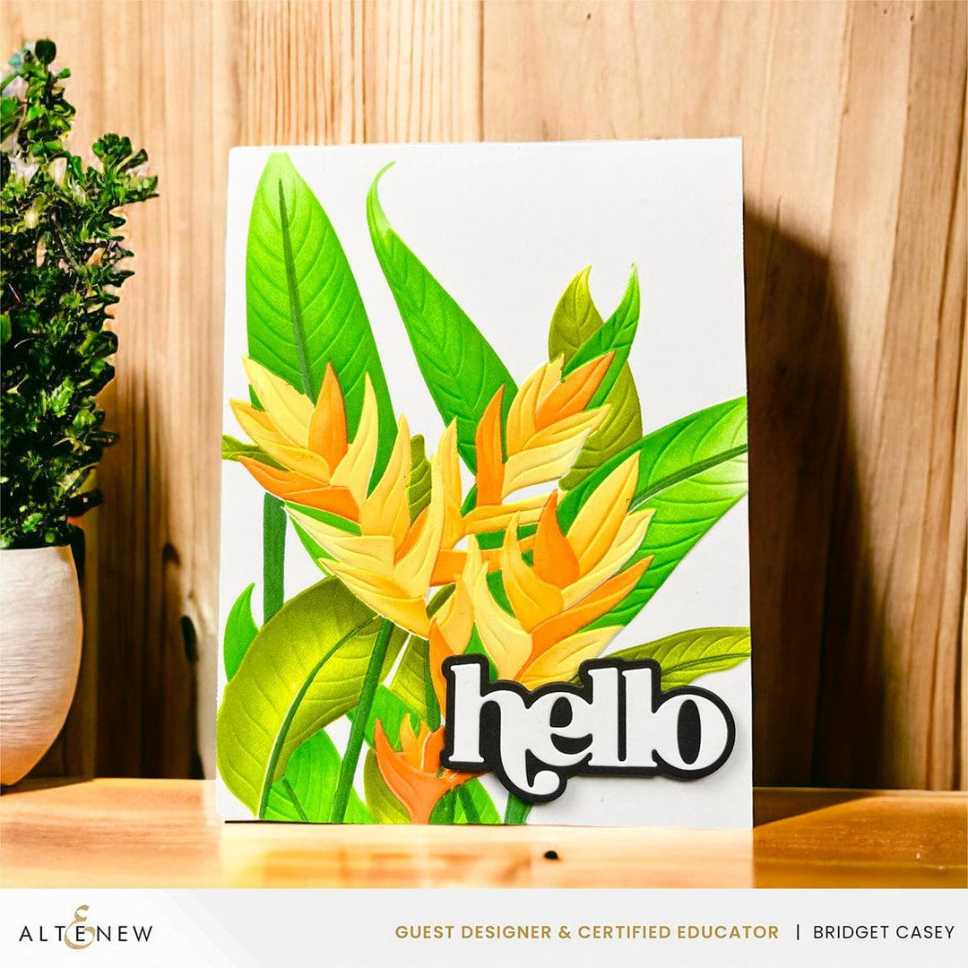 Altenew Stencil & Embossing Folder Bundle Charming Heliconia