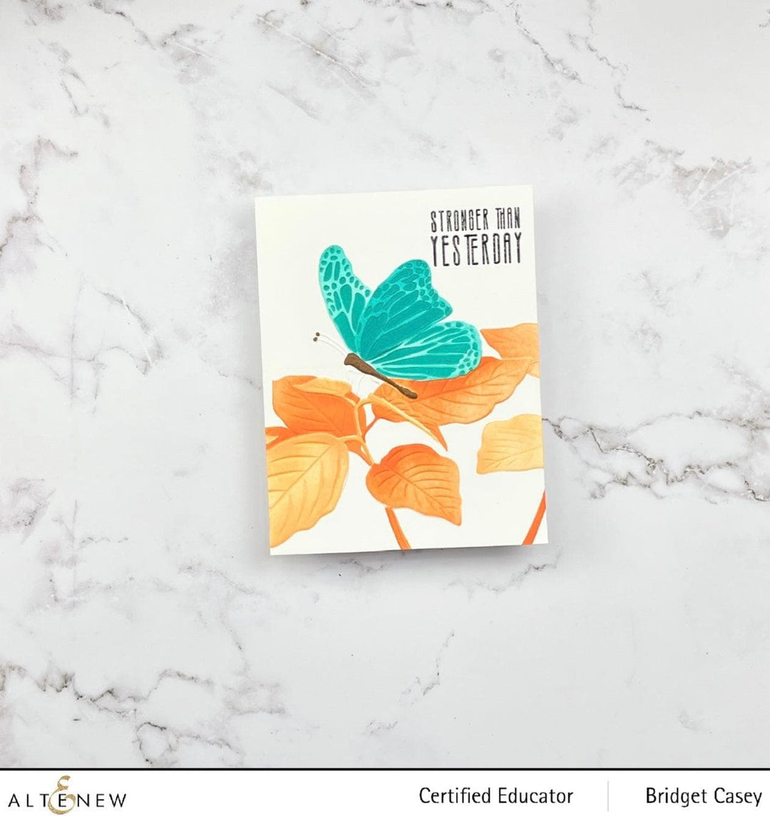 Altenew Stencil & Embossing Folder Bundle Gentle Butterfly Complete Bundle