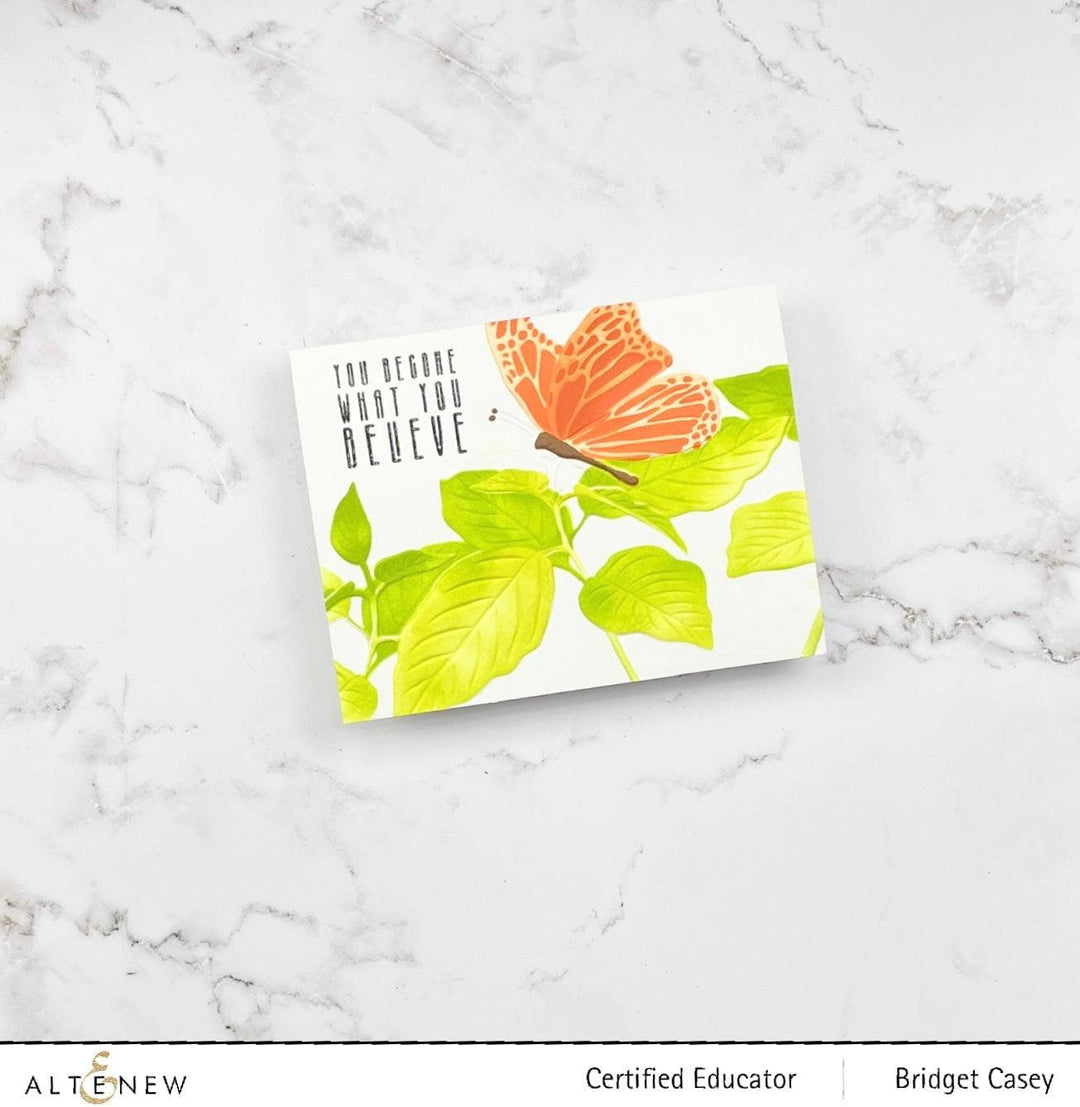 Altenew Stencil & Embossing Folder Bundle Gentle Butterfly Complete Bundle