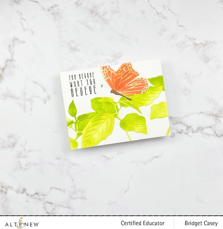 Altenew Stencil & Embossing Folder Bundle Gentle Butterfly Complete Bundle