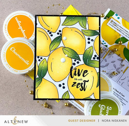 EXP Factors Stencil Lemon Craze Stencil Set (3 in 1)