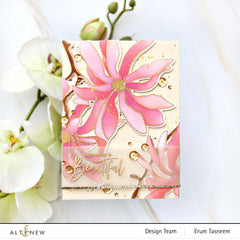 EXP Factors Stencil Magnolia Ballerina Simple Coloring Stencil Set (3 in 1)