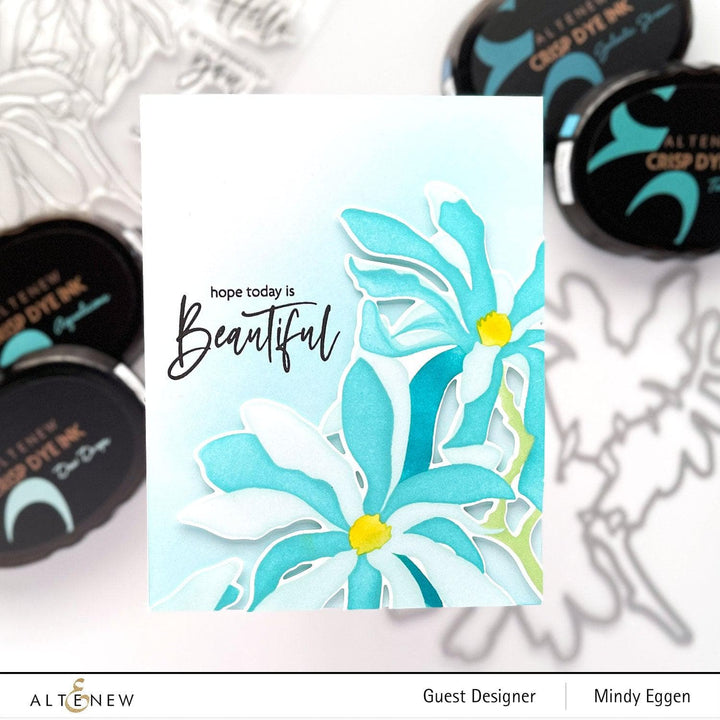 EXP Factors Stencil Magnolia Ballerina Simple Coloring Stencil Set (3 in 1)