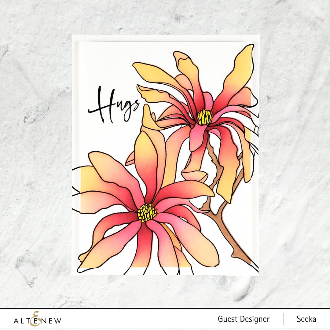 EXP Factors Stencil Magnolia Ballerina Simple Coloring Stencil Set (3 in 1)