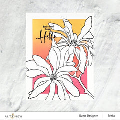 EXP Factors Stencil Magnolia Ballerina Simple Coloring Stencil Set (3 in 1)