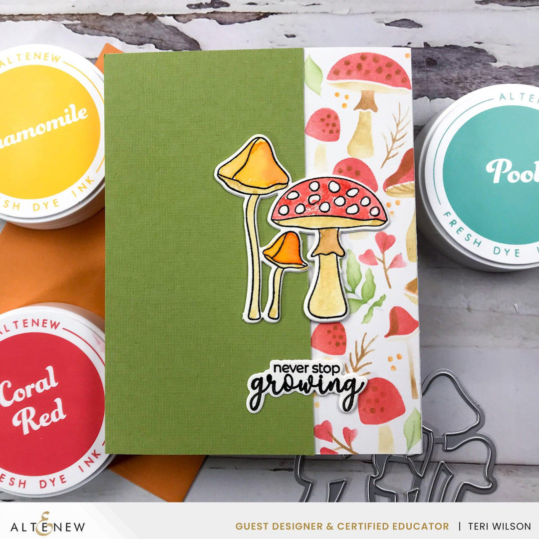 EXP Factors Stencil Mushroom Garden Layering Stencil Set (4 in 1)