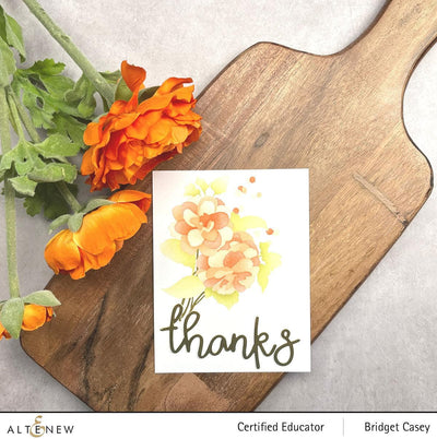 EXP Factors Stencil Paint-A-Flower: Camellia Simple Coloring Stencil Set (3 in 1)