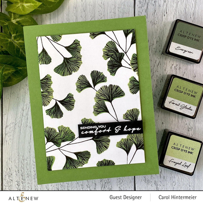 Photocentric Stencil Sweet Ginkgo Simple Coloring Stencil